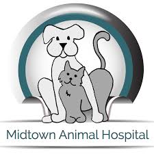 Looking for a veterinarian in indianapolis in? Midtown Animal Hospital Sacramento Ca Veterinarian Veterinary Services Home