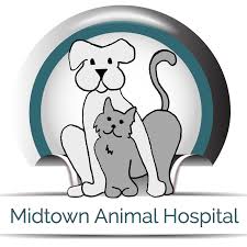 We did not find results for: Midtown Animal Hospital Sacramento Ca Veterinarian Veterinary Services Home