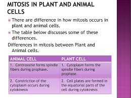 Check spelling or type a new query. Knowledge Area Life At The Molecular Cellular And Tissue Level Ppt Download