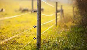 Software that overruns the boundaries of a malloc()memory allocation, software that touches a memory allocation that has been released by free(). Electric Fence Repair For The New Farmer Qc Supply