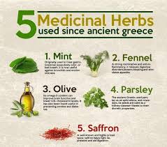 Time To Start Living The Good Life Medicinal Herbs Herbs Body Treat