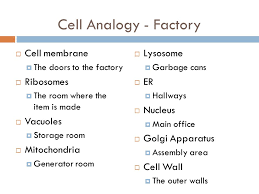 A cookie factory analogy will context of a factory analogy. Cell Factory Analogy Worksheet Nidecmege