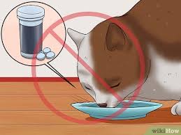2 x 225mg capsules per day. 6 Ways To Give A Cat A Pill Wikihow Pet