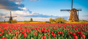 Ein urlaub in holland führt gäste in die flache niederlande zu kilometerlangen sandstränden, die vor hohen dünen liegen. So Wird Pflege In Den Niederlanden Organisiert Stiegelmeyer Forum Online Magazin
