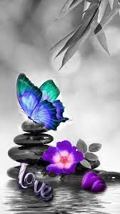 Free Ringtones And Wallpapers Zedge Butterfly Wallpaper Backgrounds Butterfly Wallpaper Iphone Butterfly Painting