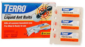 When it comes to concocting a homemade ant killer recipe, the whole world is your oyster. Best 5 Ant Traps That Really Work 2021 Updated Reviews