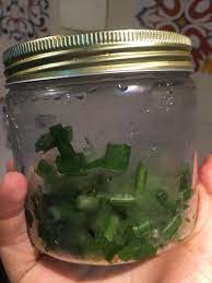 Cara ini dilakukan untuk mencegah masuknya oksigen ke dalam tomat. Cara Simpan Daun Sup Supaya Tak Layu Ini 4 Bulan Pun Masih Elok Sangat Mingguan Wanita