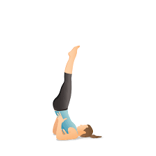 Supported Shoulderstand