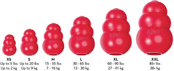 Kong Wobbler Dog Toy Small