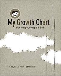 My Growth Chart Boys 2 20 Years For Height Weight Bmi