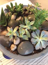 To bring some magic into your garden, try one of these succulent garden succulent rock garden succulent landscaping succulent gardening landscaping with rocks front yard landscaping succulents garden. Easy Indoor Succulent Rock Garden Houseful Of Handmade