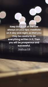 Image result for tbn:Gnv9sVSb-OxKvM::www.tyfinwallpapers.co.uk/brad4.jpg