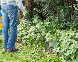 Breitbandherbizide wirken unspezifisch gegen viele pflanzenarten. Unkrautvernichter Herbizide Die Wichtigsten Infos Mein Schoner Garten