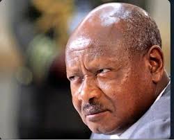 January enjoyments before big year ahead