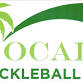 Big Sun Pickleball Tournament