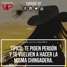 Pin De Ldelaossadominguez En Corridos Vip Frases De Correr Frases Chingonas Frases Sabias