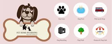Dog boarding is sometimes accompanied by other services, such as dog training and dog grooming. Pet Home Boarding Home Facebook