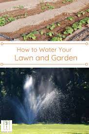 Watering Do S And Don Ts In The Lawn And Garden Lawn And Garden Lawn Landscape Care