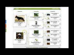 Working-Dog - How To Read A Pedigree Sd!!! - Youtube
