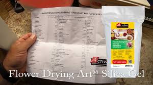 Silica gel for drying flowers ireland. Flower Drying With Activa Flower Drying Art Silica Gel Youtube