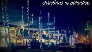 Christmas Lights On Main Street In Venice Fl Via Fb Https Www Facebook Com Venicemainstreet Photos A 9533846 Christmas Lights Photo Christmas Celebrations