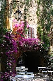 Epingle Sur Bormes Les Mimosas