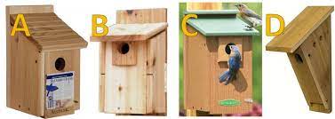 Building bluebird nest boxes is a great way to help conserve birds at the local level. Bluebird Houses The Definitive Guide 7 Free Plans Bird Watching Hq