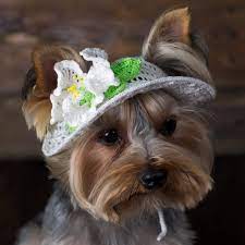 Dog Hats Dog Party Hats Dog Beanies Dog Hats For Sun Etsy Dog Party Hat Crochet Dog Hat Dog Hat