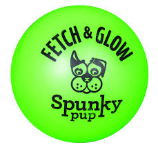 Pet Supplies : Pet Toy Balls : Spunky pup Fetch & Glow Ball Dog Toy