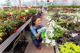 View brian flowers' profile on linkedin, the world's largest professional community. Floriculturist Seed Your Future