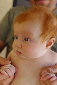 Ella's Play Space — LAUTZENHEISER.ORG