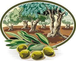 Olive Treein Oval Frame Vector 02 Oval Frame Olive Vector