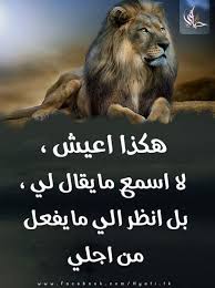 Pin By فلسطينية ولي الفخر On روائع الحكم Animals 50s Lion