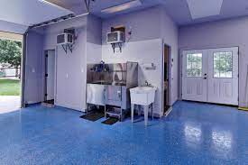 Warm place for the winter. Garage Dog Wash Houzz
