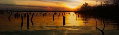 Lake fork, alba, texas homes for sale by owner byowner.com. Lake Fork Online Guide Cabins Homes Marinas Fishing More