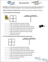 Draw a punnett square, list the ratio and describe the offspring. Monohybrid Mice Teaching Biology Science Biology