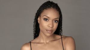 Michelle Mitchenor's Instagram, Twitter & Facebook