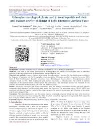 Image result for Agelanthus deltae