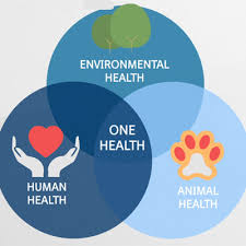 Over 20 years of experience has led to a deep understanding of the complex requirements of the insurance industry. Partnerships For One Health Cannot Wait Boehringer Ingelheim Com