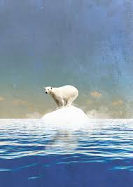 Climate Change Polar Bear Poster Print By Team Awesome Displate In 2020 Polar Bear Art Polar Bear Climate Change Art