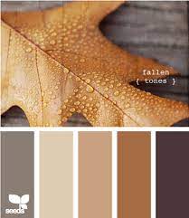 Design Seeds For All Who Color Paint Colors For Home Room Color Schemes Living Room Colors