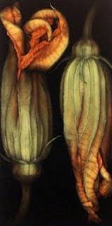 Also keep in mind that squashes can only be fertilized by their same species. Squash Blossom Zucchini Flowers Botanical Art Flowers