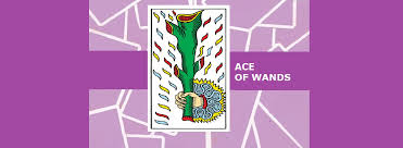 The ace of wands is the first tarot card in the suit of wands. Ace Of Wands Tarot Card Meanings In The Tarot Deck