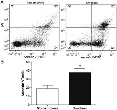 flow cytometry analysis of apoptosis dot plots show