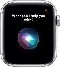 Icones D Etat Et Symboles Sur Apple Watch Assistance Apple