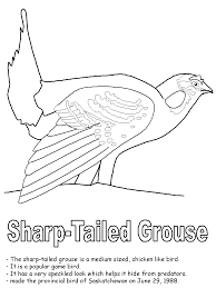 Download pets and wild animals coloring sheets. Pin On Travel Ideas