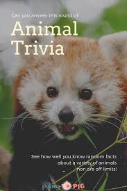 Ask questions and get answers from people sharing their experience with treatment. Animal Trivia Animal Trivia Quiz Animal Quizzes Animal Quiz Animal Facts Animal Questions For Animal Quiz This Or That Questions Trivia Questions For Kids