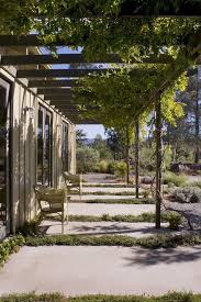 What kind of plant is an evergreen climber? Climbing Plants That Give Your Home A New Look Outdoor Pergola Pergola Garden Canopy