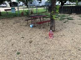 Check out the best rv camping options in spring. The Best Big Spring Camping Of 2021 With Prices Tripadvisor