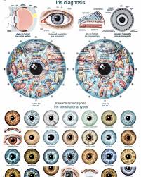 Iridology Eye Chart Diagnosis 1